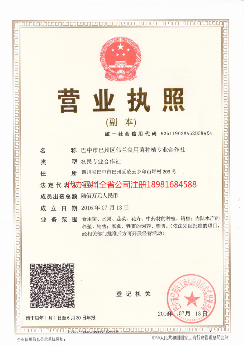 白山白山伟兰食用菌种植专业合作社